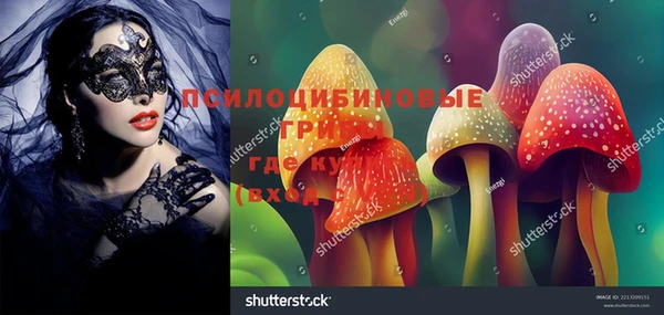 каннабис Беломорск
