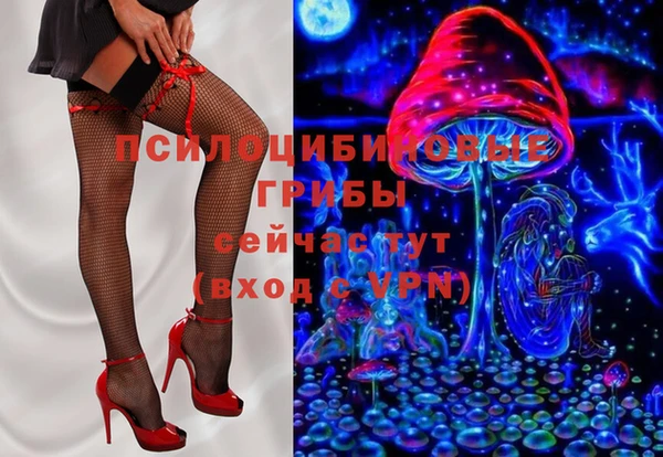первитин Белокуриха