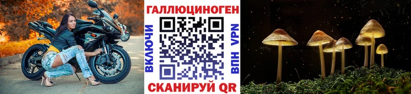 где продают наркотики  Гулькевичи  Псилоцибиновые грибы Psilocybe 