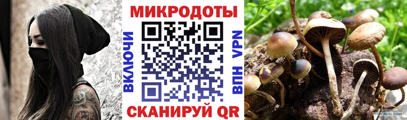 Галлюциногенные грибы Cubensis Гулькевичи