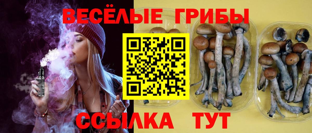 Псилоцибиновые грибы Psilocybine cubensis Гулькевичи