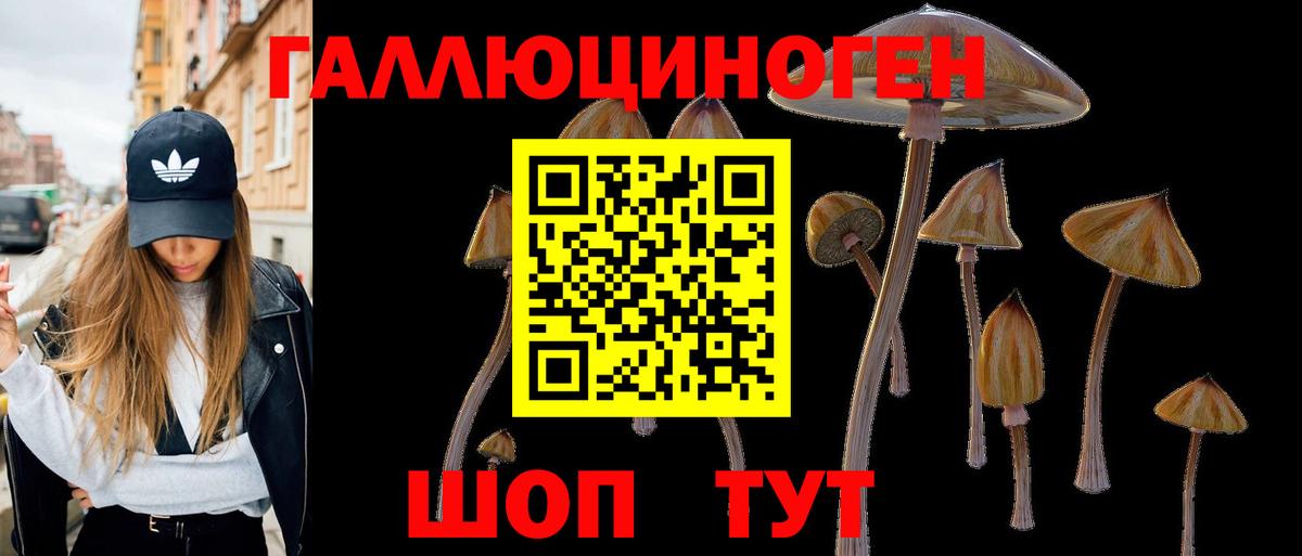 Галлюциногенные грибы Psilocybe  Вход с VPN  Гулькевичи 